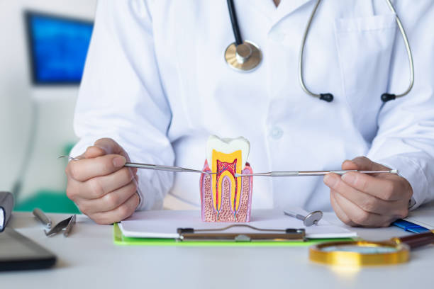 Best Emergency Treatment for Toothache in Aiken, SC